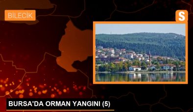 Bursa Valisi Demirtaş: Yangın Kısmen Kontrol Altına Alındı