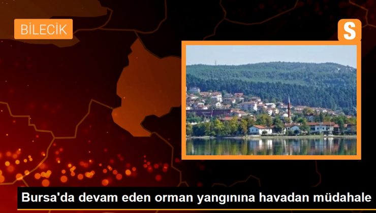 Bursa’da devam eden orman yangınına havadan müdahale