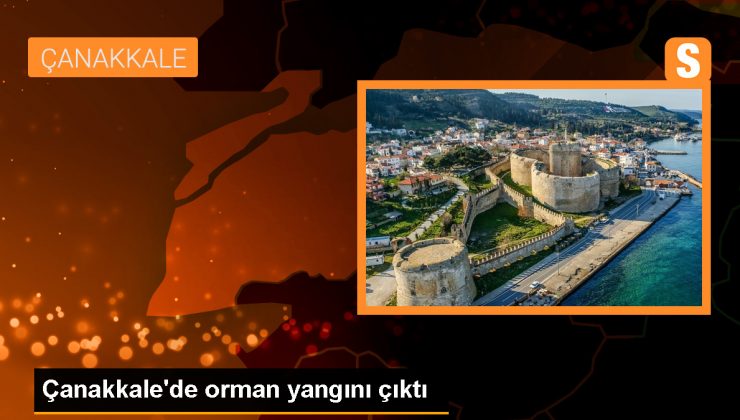 Çanakkale'de Orman Yangınına Havadan ve Karadan Müdahale Ediliyor 1 Çanakkale’de Orman Yangınına Havadan ve Karadan Müdahale Ediliyor