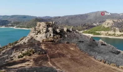 Çanakkale’deki 2 bin 500 yıllık Atikhisar Kalesi yangında zarar gördü