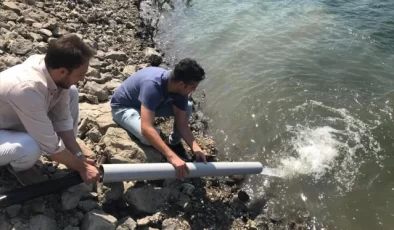 Çanakkale’deki Barajlara Yüz Binlerce Pullu Sazan Yavrusu Salındı