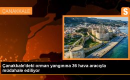 Çanakkale’deki Orman Yangınına AFAD Müdahale Ediyor