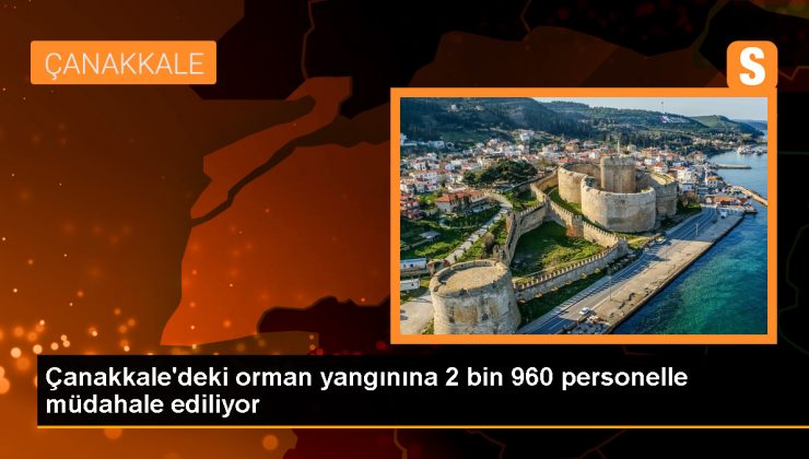 Çanakkale’deki Orman Yangınına Büyük Müdahale