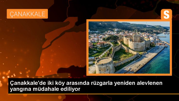 Çanakkale’deki Orman Yangınına Havadan ve Karadan Müdahale Devam Ediyor
