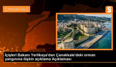 Çanakkale’deki Orman Yangınında 97 Kişi Dumandan Etkilendi
