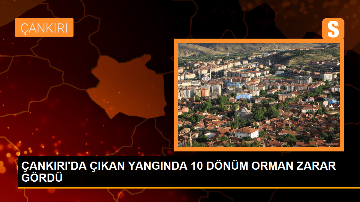 Çankırı'da çıkan yangında 10 dönüm orman zarar gördü