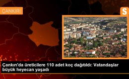 Çankırı’da üreticilere 110 adet koç dağıtıldı: Vatandaşlar büyük heyecan yaşadı