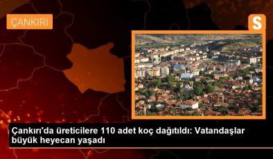 Çankırı’da üreticilere 110 adet koç dağıtıldı: Vatandaşlar büyük heyecan yaşadı