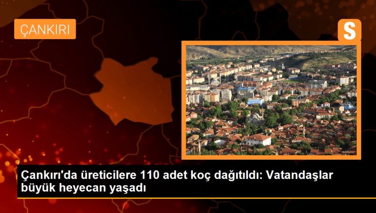 Çankırı’da üreticilere 110 adet koç dağıtıldı: Vatandaşlar büyük heyecan yaşadı