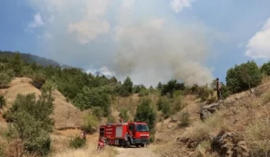 Çankırı’nın Ilgaz ilçesinde orman yangını çıktı
