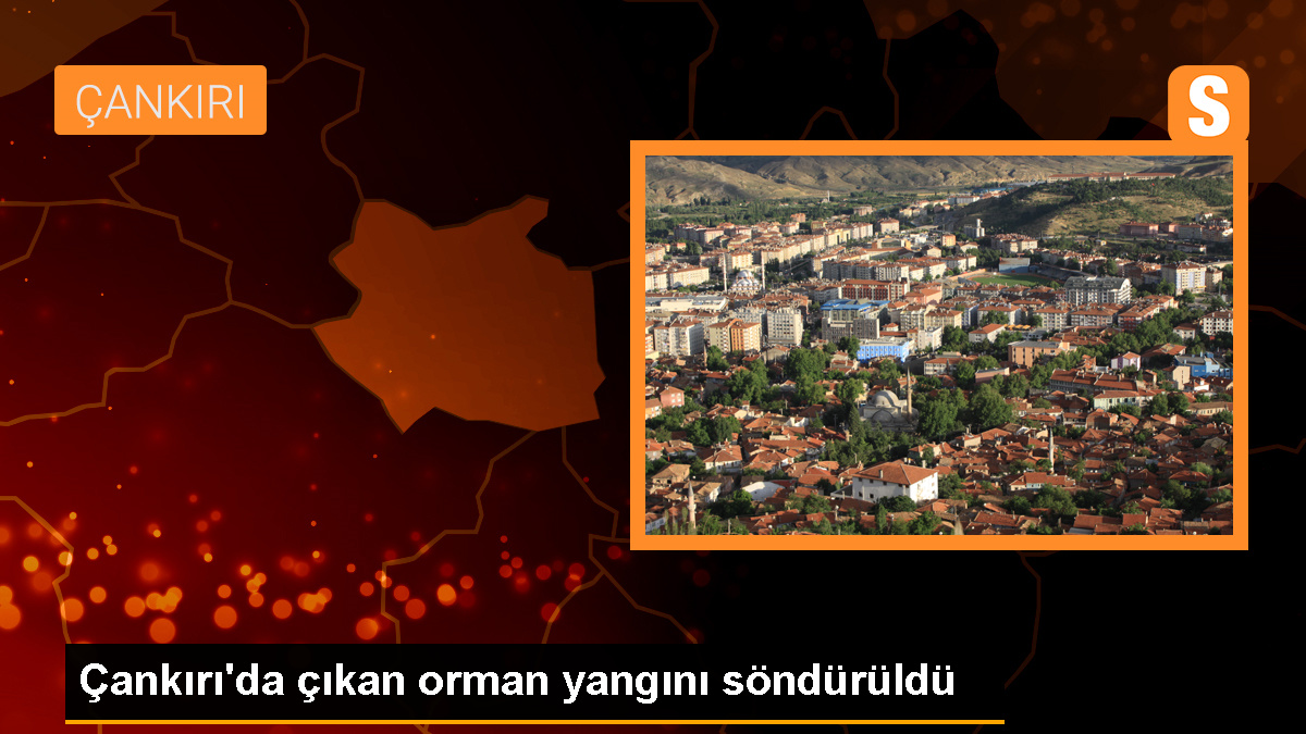 Çankırı'nın Şabanözü ilçesinde orman yangını: 10 dönüm alan zarar gördü