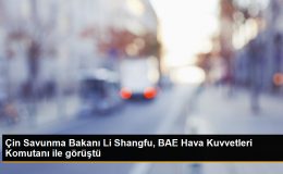 Çin Savunma Bakanı, BAE Hava Kuvvetleri Komutanı ile görüştü