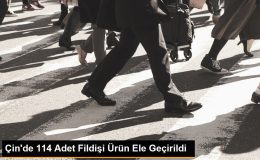 Çin’de 114 Adet Fildişi Ürün Ele Geçirildi