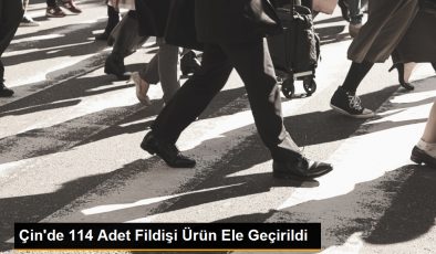 Çin’de 114 Adet Fildişi Ürün Ele Geçirildi