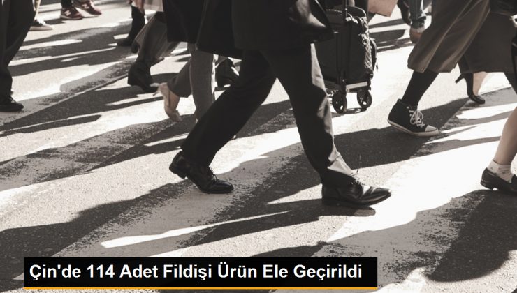 Çin’de 114 Adet Fildişi Ürün Ele Geçirildi
