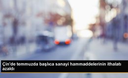 Çin’de Sanayi Hammaddeleri İthalatı Düşüşte