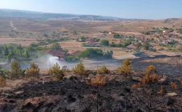 Çorum’da 6 dönüm ağaçlık alan yandı