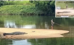 Dev timsaha aldırmadan balık tutmaya devam eden Avustralyalı adam tepki gördü