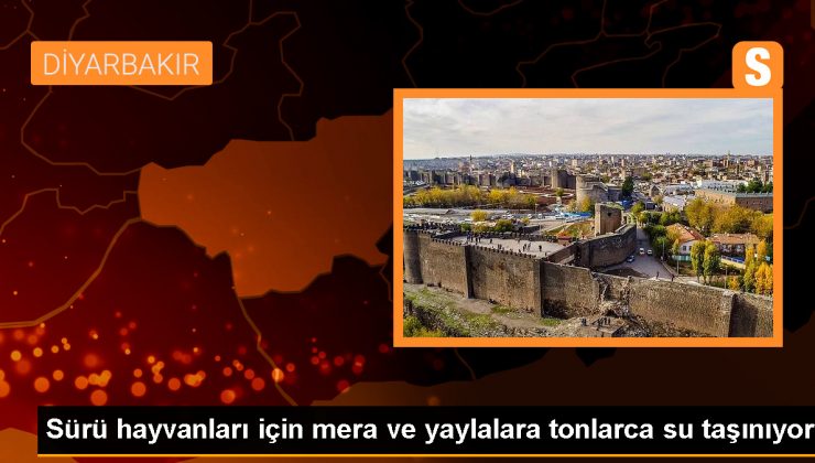 Diyarbakır Büyükşehir Belediyesi, Kuraklık Nedeniyle Besicilere Su Taşıyor