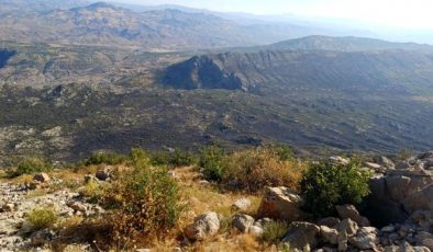 Diyarbakır Hani ilçesinde çıkan örtü yangını kontrol altına alındı