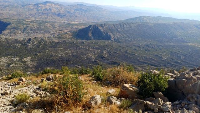 Diyarbakır Hani ilçesinde çıkan örtü yangını kontrol altına alındı