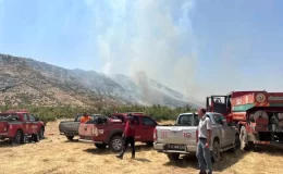 Diyarbakır Hani ilçesinde orman yangını