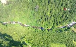 Dünya ‘Altın Bal’ ödülü balın tanıtımı Artvin’de yapıldı