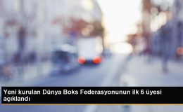 Dünya Boks Federasyonu’na 6 ulusal federasyon üye oldu