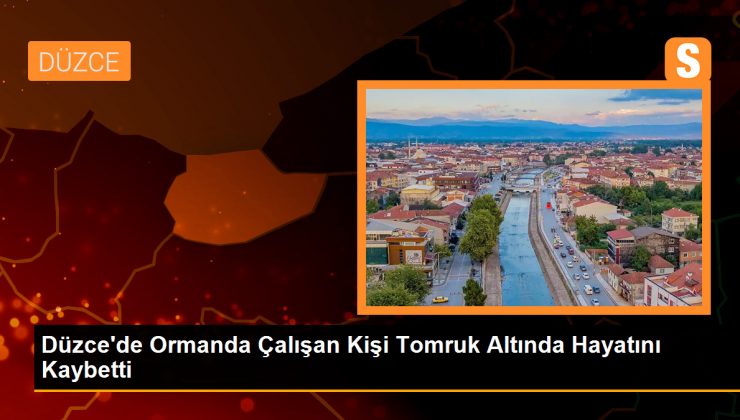 Düzce’de Ormanda Çalışan Kişiye Tomruk Düştü, Hayatını Kaybetti