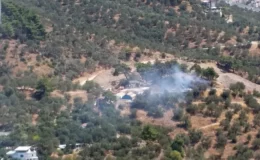 Edremit’te çıkan orman yangını havadan ve karadan müdahaleyle söndürüldü