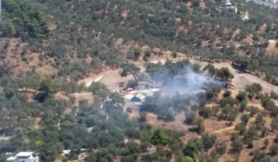 Edremit’te çıkan orman yangını havadan ve karadan müdahaleyle söndürüldü