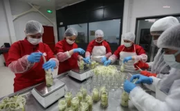 Efeler Belediyesi, Yöresel Ürünlere Değer Kazandırıyor