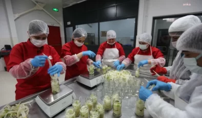 Efeler Belediyesi, Yöresel Ürünlere Değer Kazandırıyor