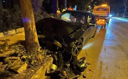 Elazığ’da Otomobil Ağaca Çarptı: Bir Kişi Yaralandı