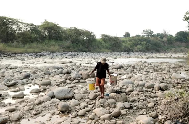 Endonezya'da Kuraklık Çeltik Tarlalarını Vurdu 1 Endonezya’da Kuraklık Çeltik Tarlalarını Vurdu