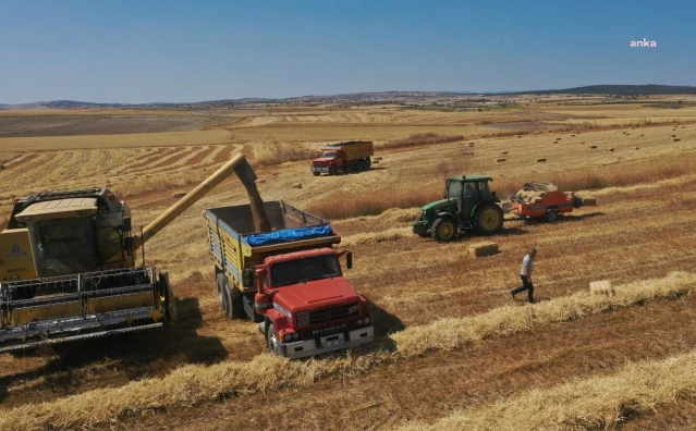 Eskişehir Büyükşehir Belediyesi Tarlalarından Elde Edilen Buğdayları Sosyal Destek Olarak Dağıtacak