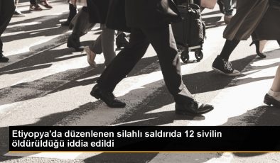 Etiyopya’nın Oromiya Bölgesinde Sivillere Yönelik Saldırı: 12 Ölü