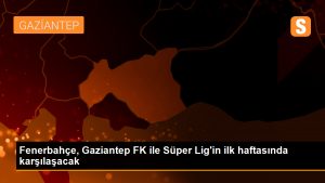 Fenerbahce-Gaziantep-FK-ile-Super-Ligin-ilk-haftasinda-karsilasacak.jpg