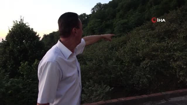 Fındık bahçesine dadanan domuzlara Karadeniz usulü çözüm