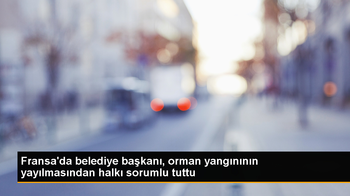 Fransa'da çalılıkları temizlemeyenler yangının yayılmasına yol açmakla suçlandı