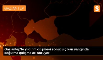 Gaziantep Yavuzeli’nde Yıldırım Düşmesi Sonucu Çıkan Yangında 200 Dönüm Mera Zarar Gördü