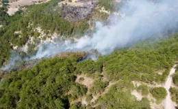 Göynük’teki Orman Yangını Soğutma Çalışmaları Devam Ediyor
