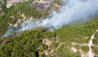 Göynük’teki Orman Yangını Soğutma Çalışmaları Devam Ediyor