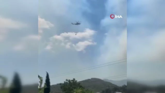 Hatay’da Orman Yangını – Son Dakika