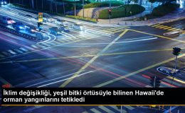 Hawaii’deki Orman Yangınları İklim Değişikliği Nedeniyle Meydana Geldi