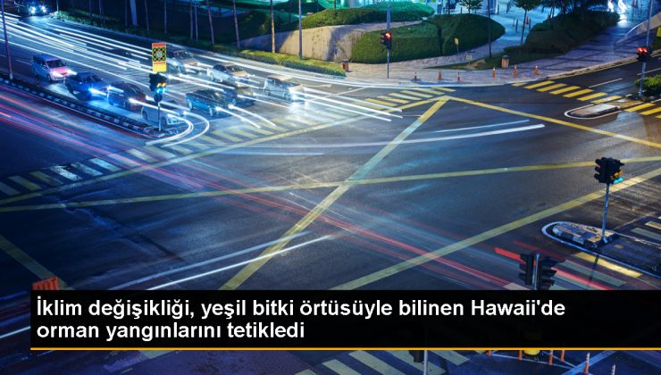 Hawaii’deki Orman Yangınları İklim Değişikliği Nedeniyle Meydana Geldi