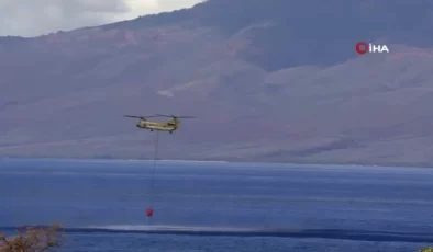 Hawaii’deki orman yangınlarında can kaybı 111’e yükseldi