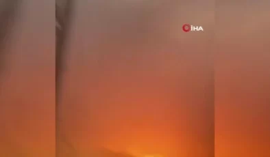 Hawaii’deki orman yangınlarında can kaybı 53’e yükseldi, Hawaii afet bölgesi ilan edildi