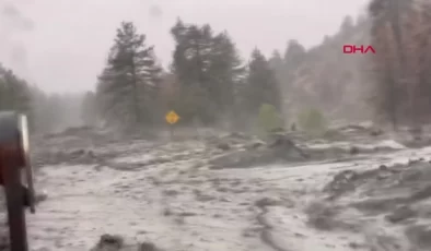 Hilary Kasırgası Güney Kaliforniya’yı Vurdu