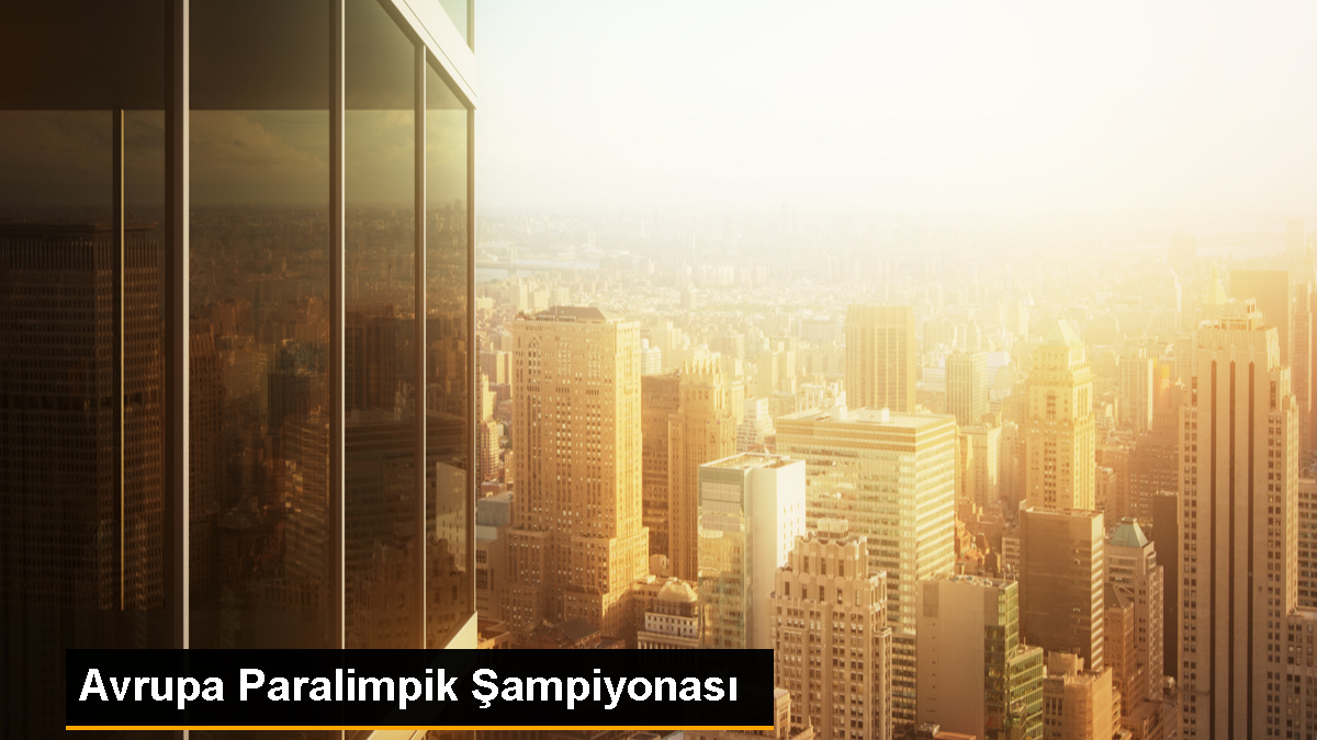 Hollanda'da Avrupa Paralimpik Şampiyonası'nda Türk atıcılar mücadele etti